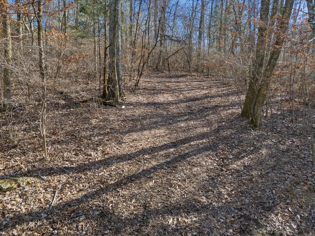 Picture 16