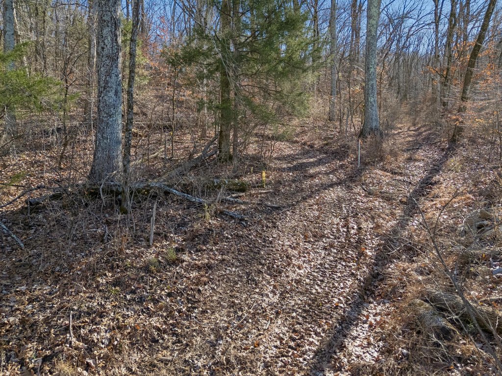 Picture 11