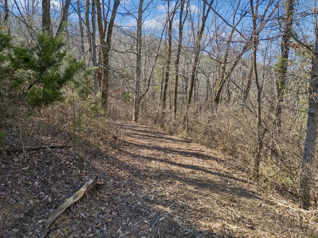 Picture 29