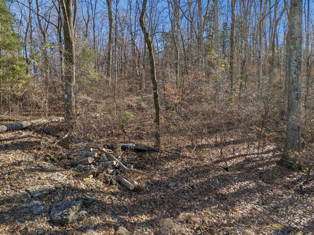 Picture 18