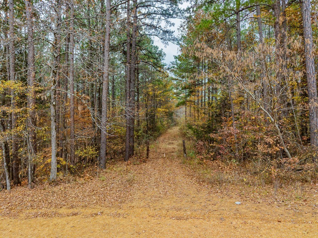 Picture 30