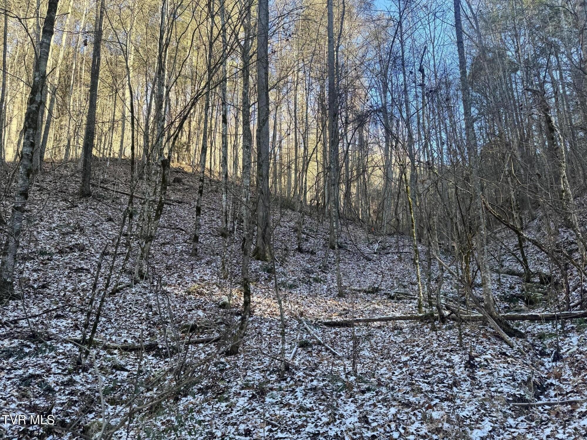 Expansive Land Parcel in Tennessee