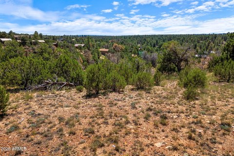 Land, Overgaard, AZ