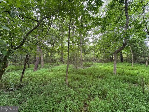 LAND - WAYNESBORO, PA