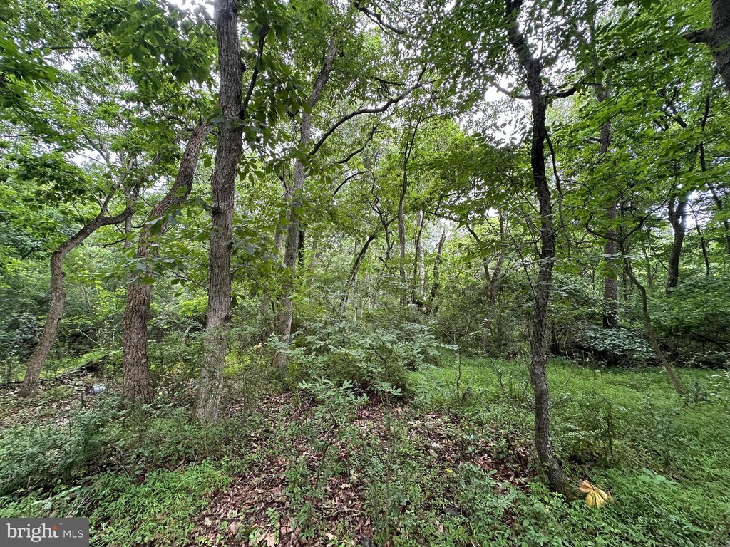 Picture 19