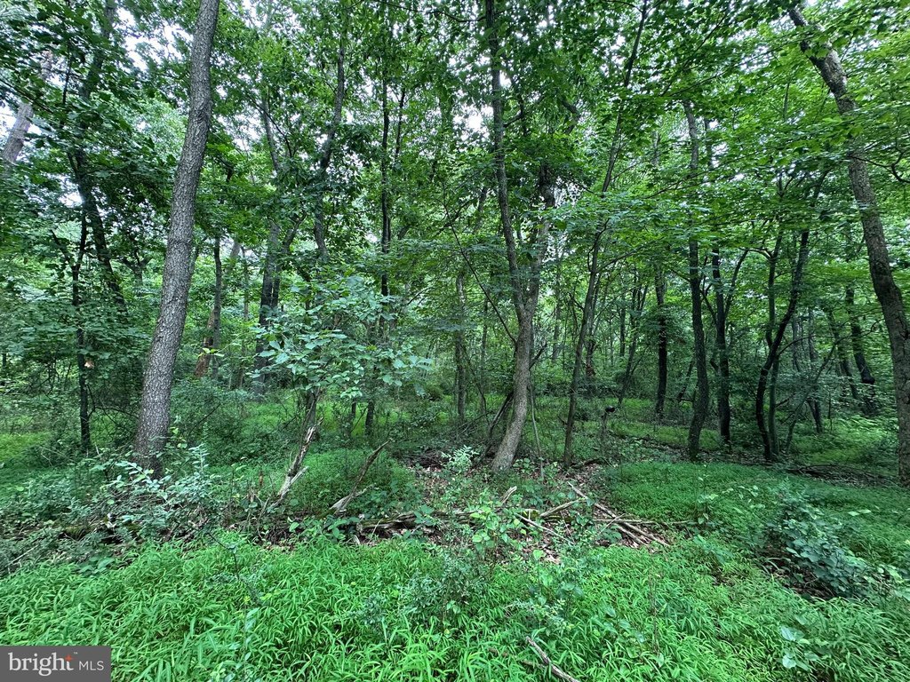 Picture 16