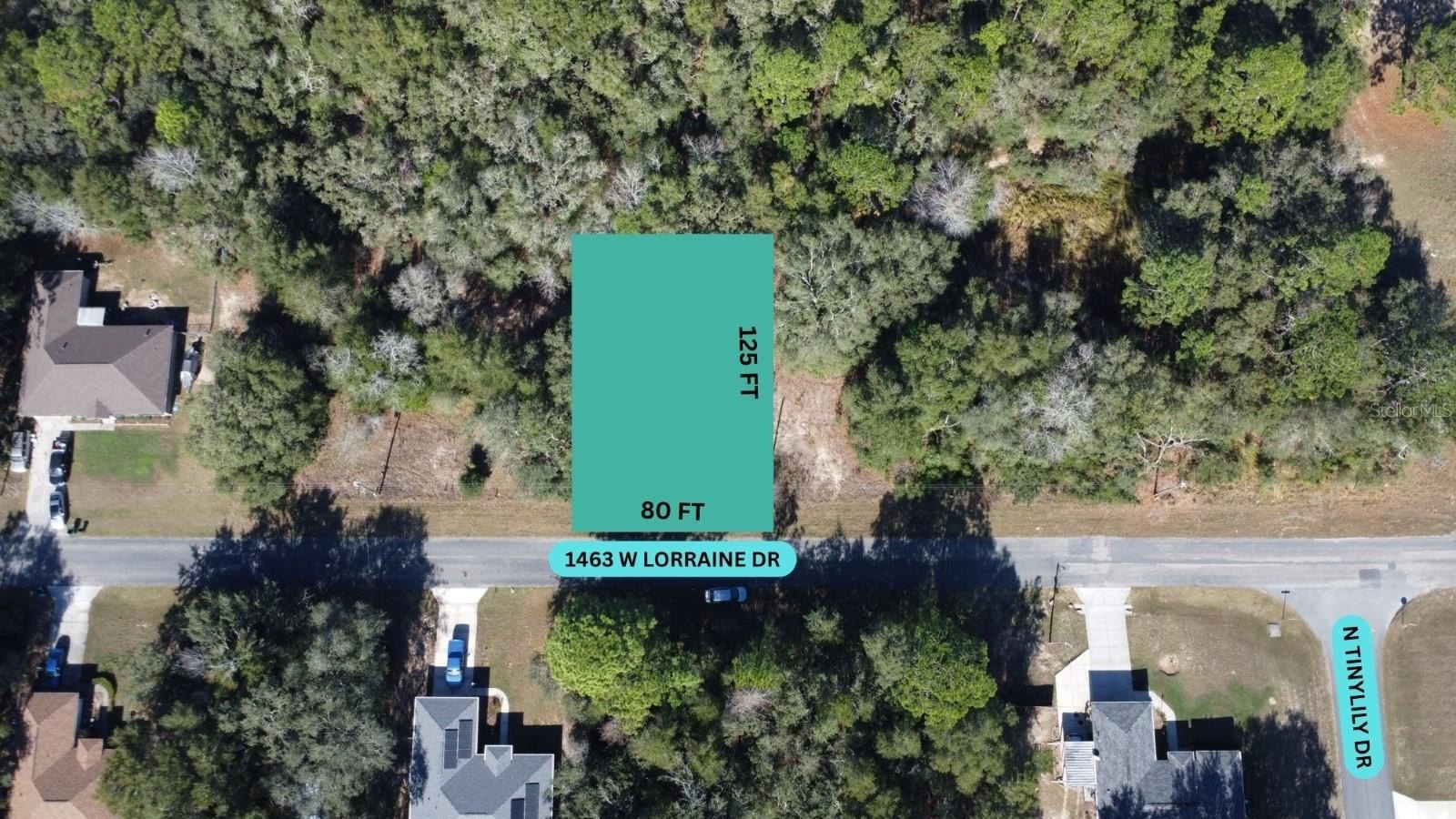 Land in Citrus Springs, FL