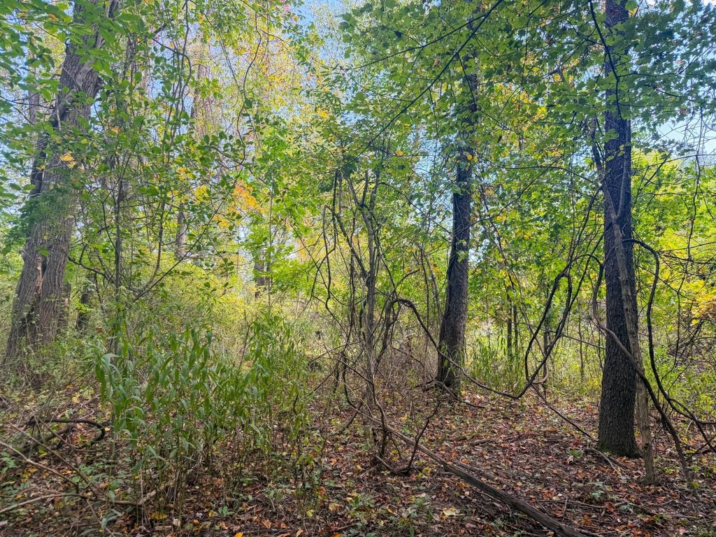 Picture 69
