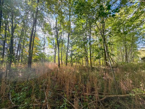 Land, Portage, OH