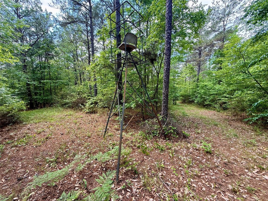 Picture 17