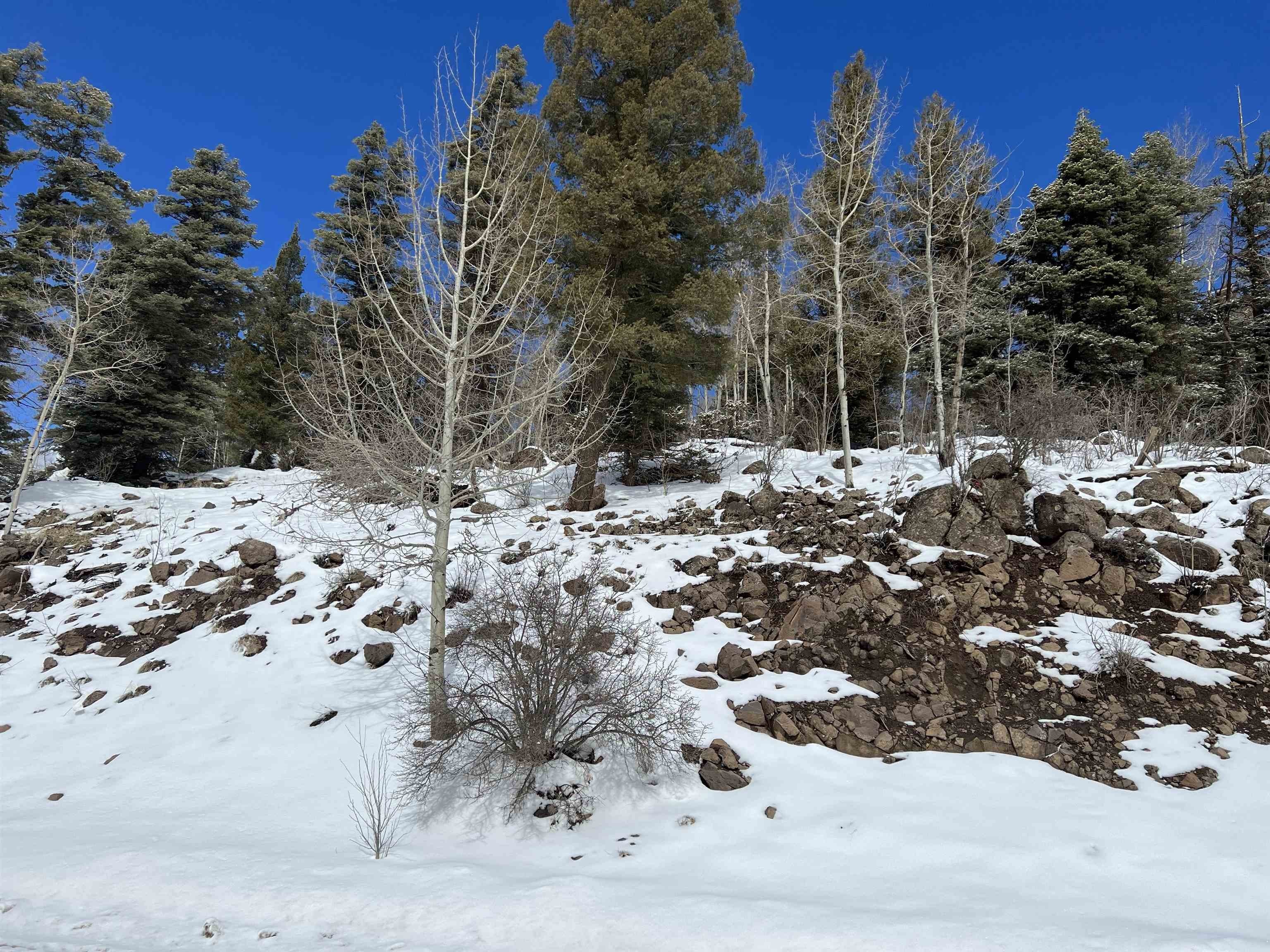 Angel Fire Resort Lot