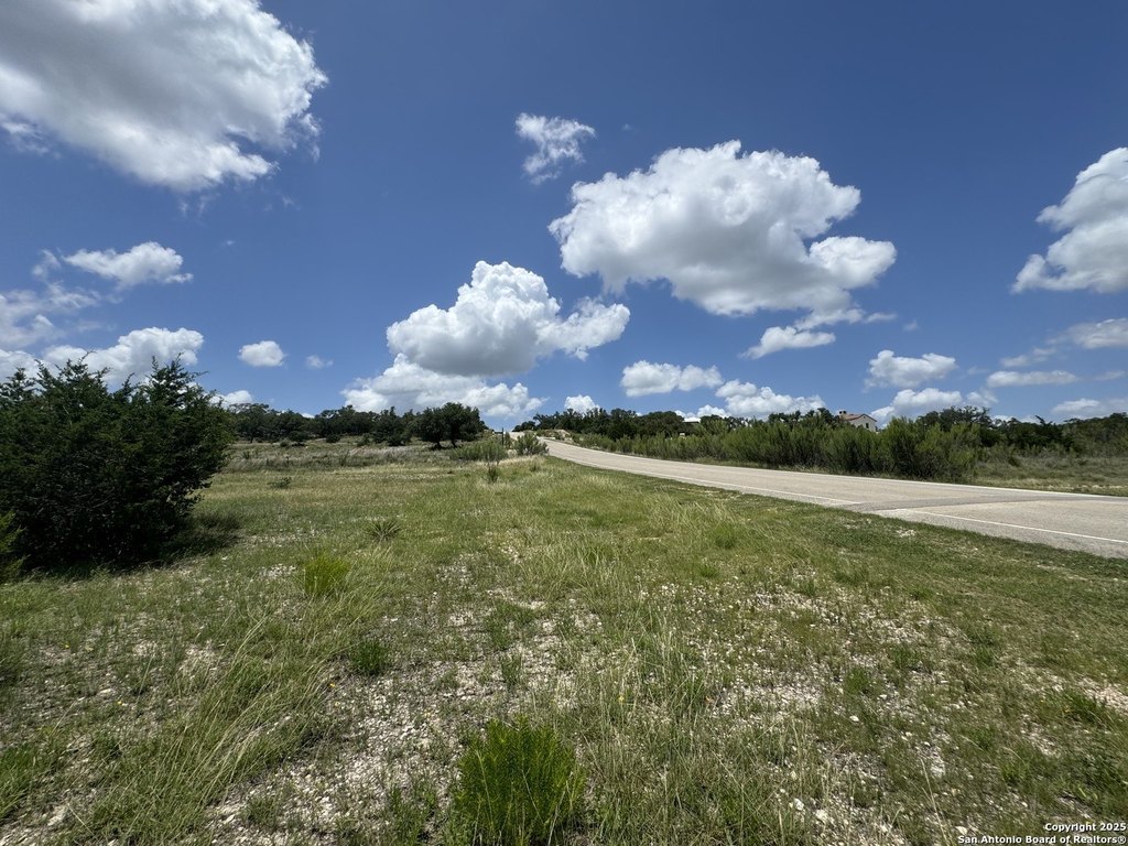 Picture 19