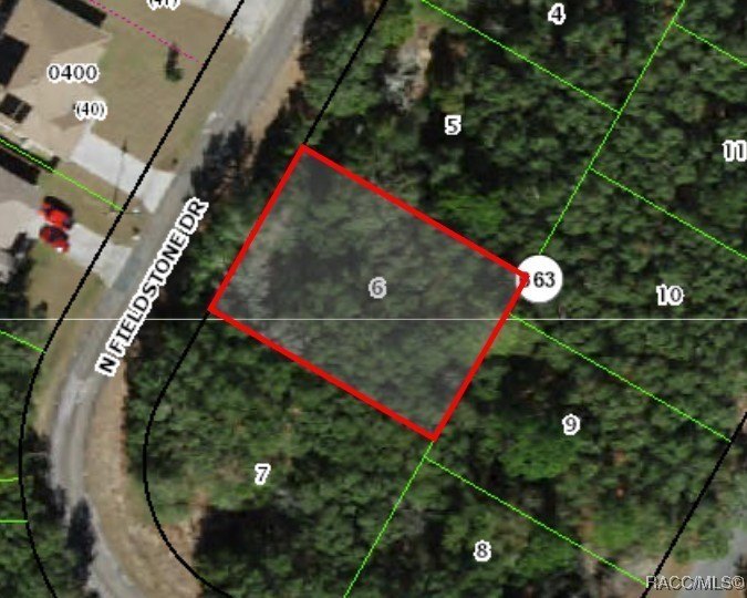 Citrus Springs Buildable Residential Lot