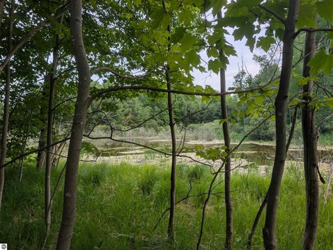 Vacant Lot/Land, Traverse City, MI