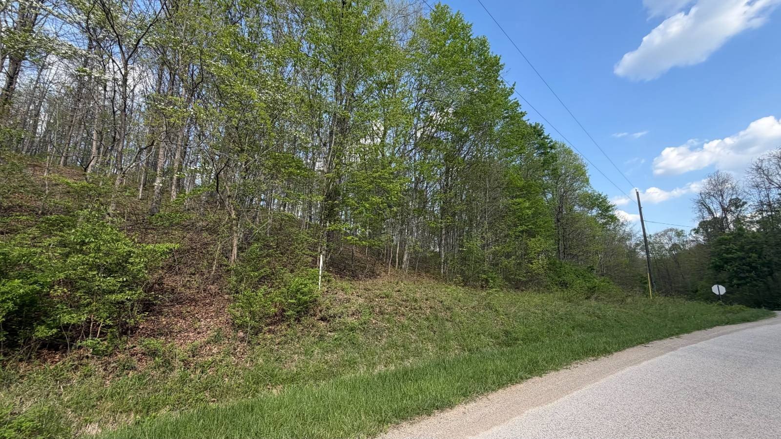 Secluded Land Near State Forest