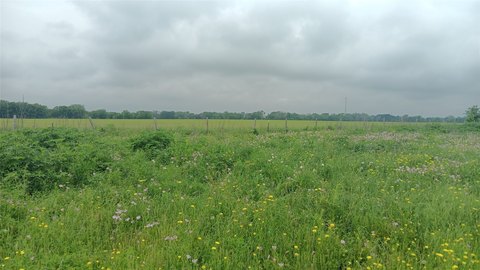 Recreational Farmland with Creek