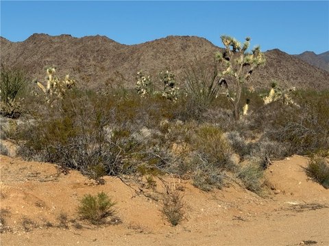 40 Acres in Yucca, AZ