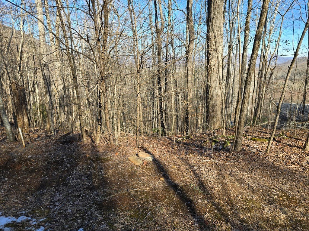 Picture 4