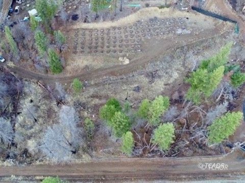 Trinity Pines Land Opportunity
