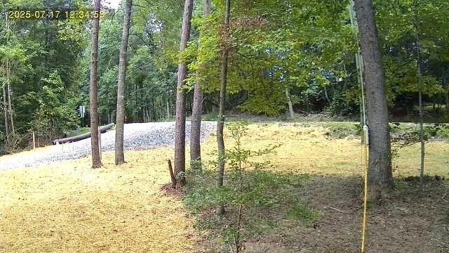 Ready-to-Build Lot in Buckhorn