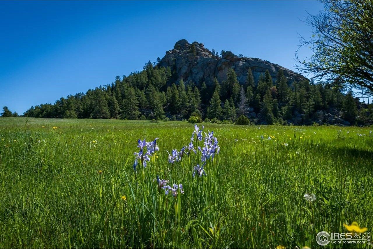 Land with Rocky Mountain Views