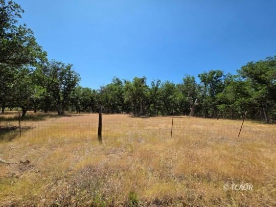 Hayfork Land with Mountain Views