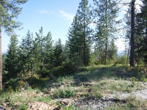 Loon Lake Land with Views