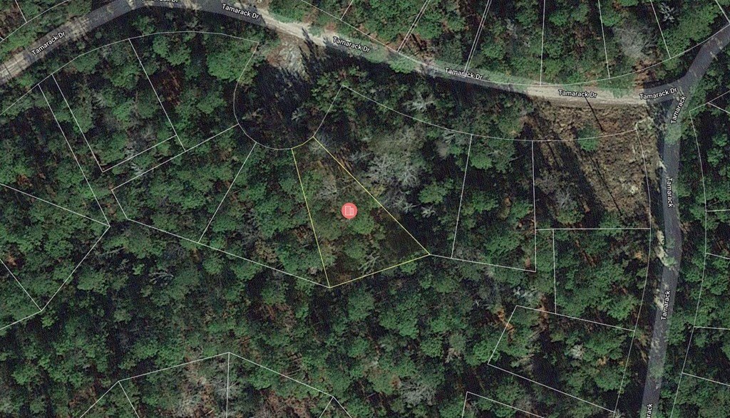 Picture 8
