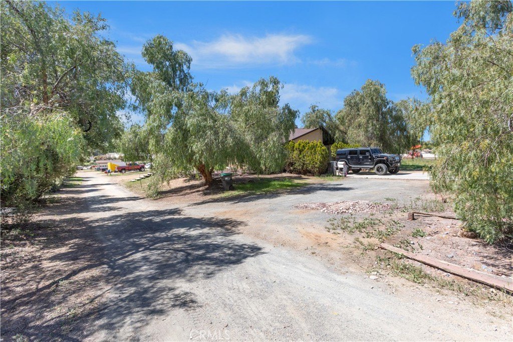 Picture 21