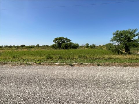 LAND - Orange Grove, TX