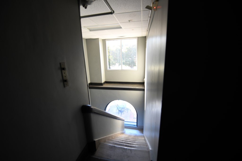 Picture 19
