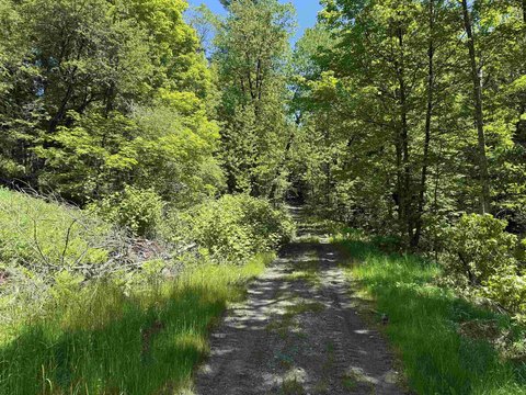 LAND - Fairfield, VT
