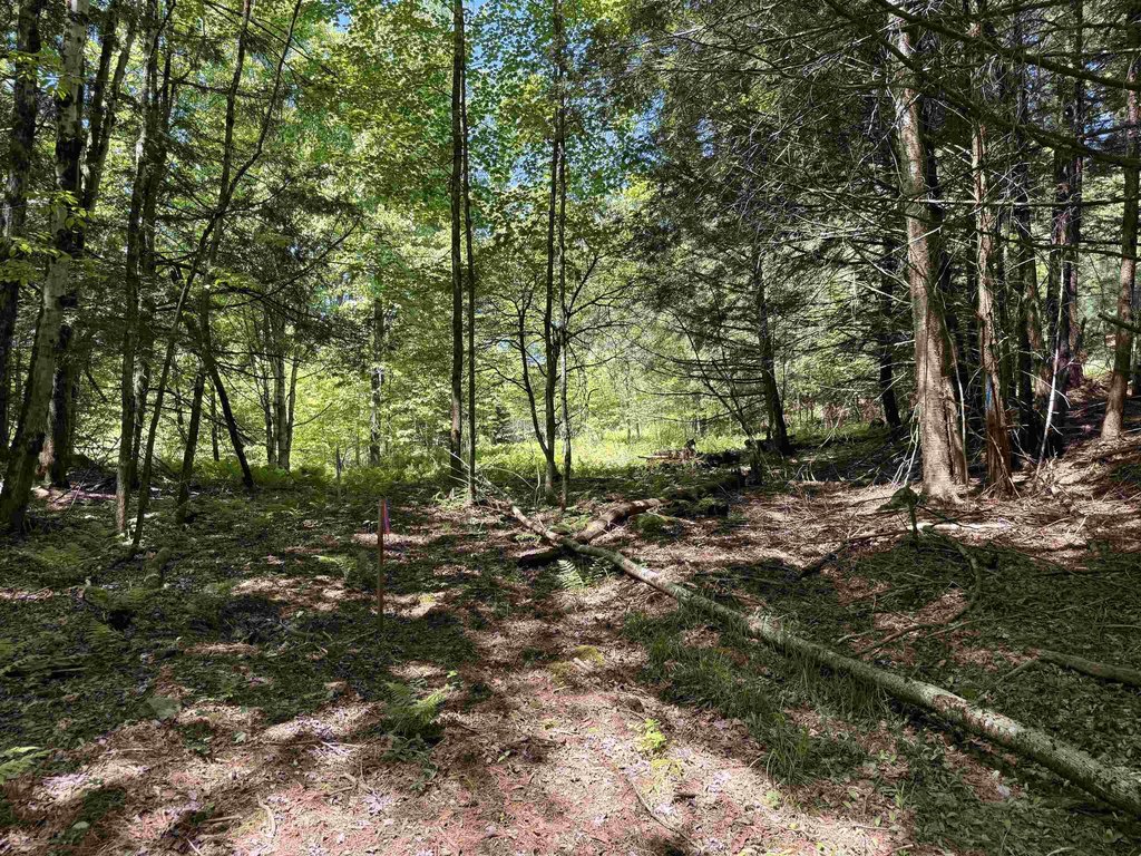 Picture 20