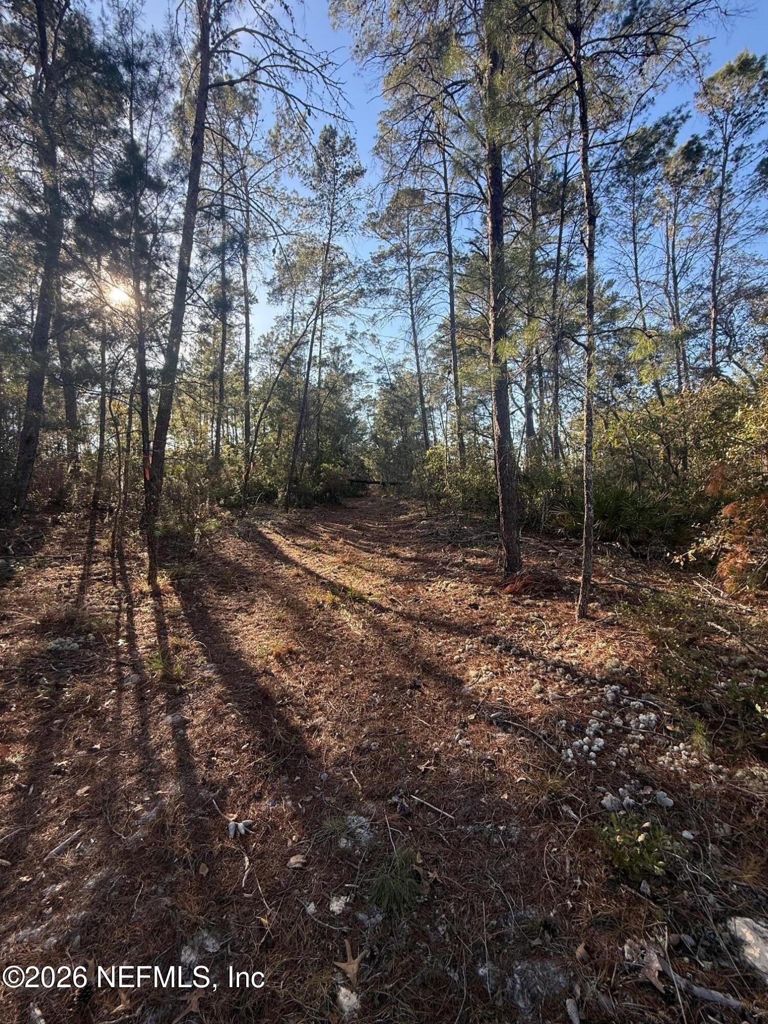 Florahome Vacant Acre Lot
