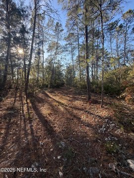 Florahome Vacant Acre Lot