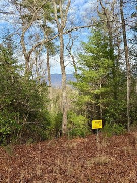 Land with Mountain Views