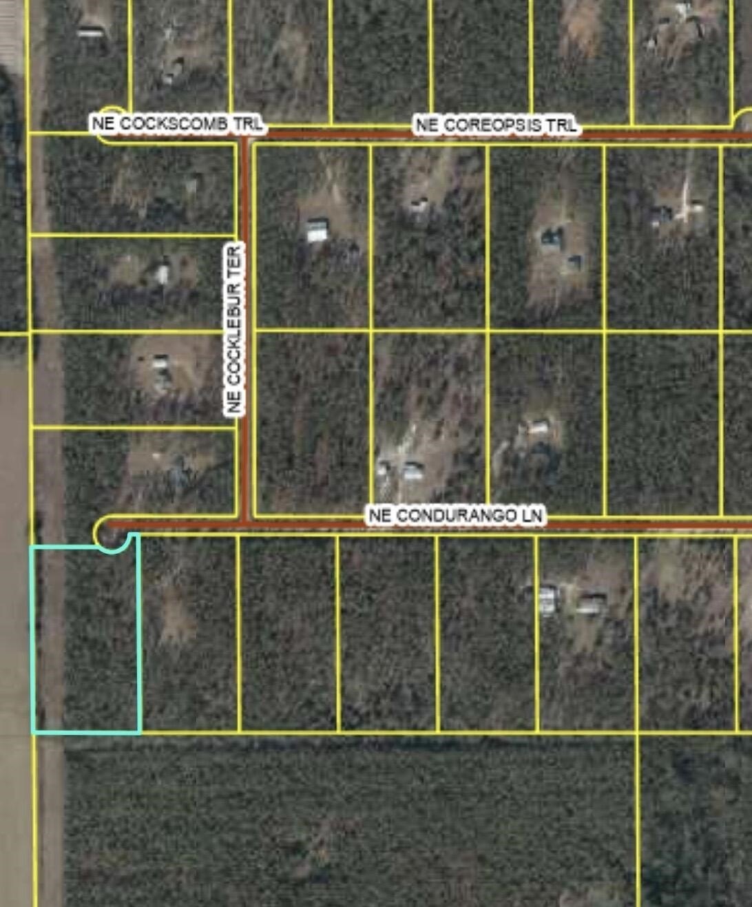 Vacant Land in Lee, Florida