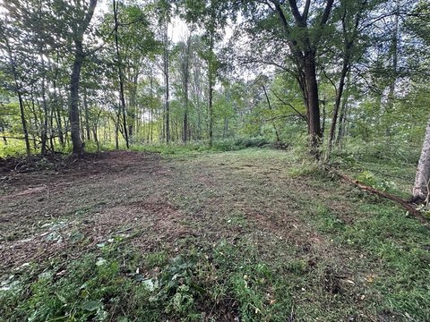 Hilham, TN Buildable Land
