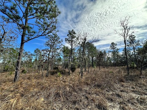 Residential Building Lot in Subdivision