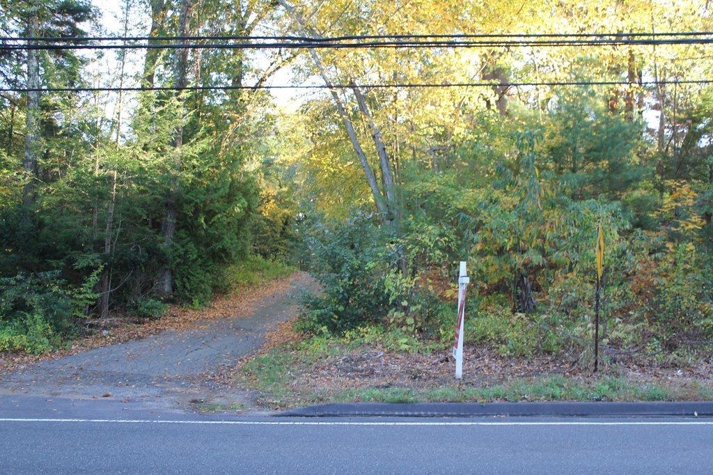Picture 2