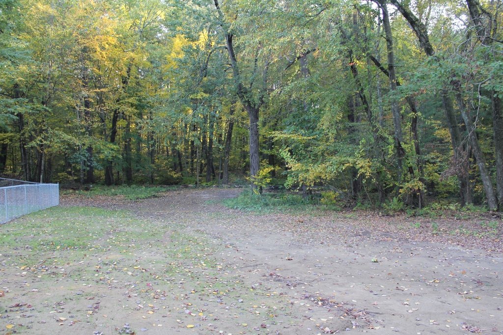 Picture 4