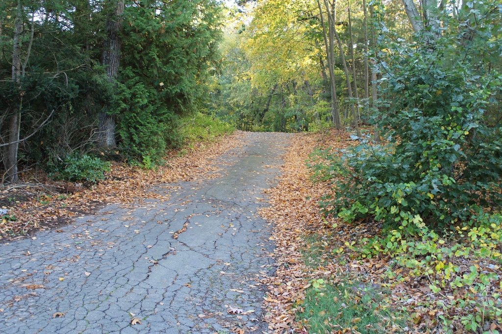 Picture 6