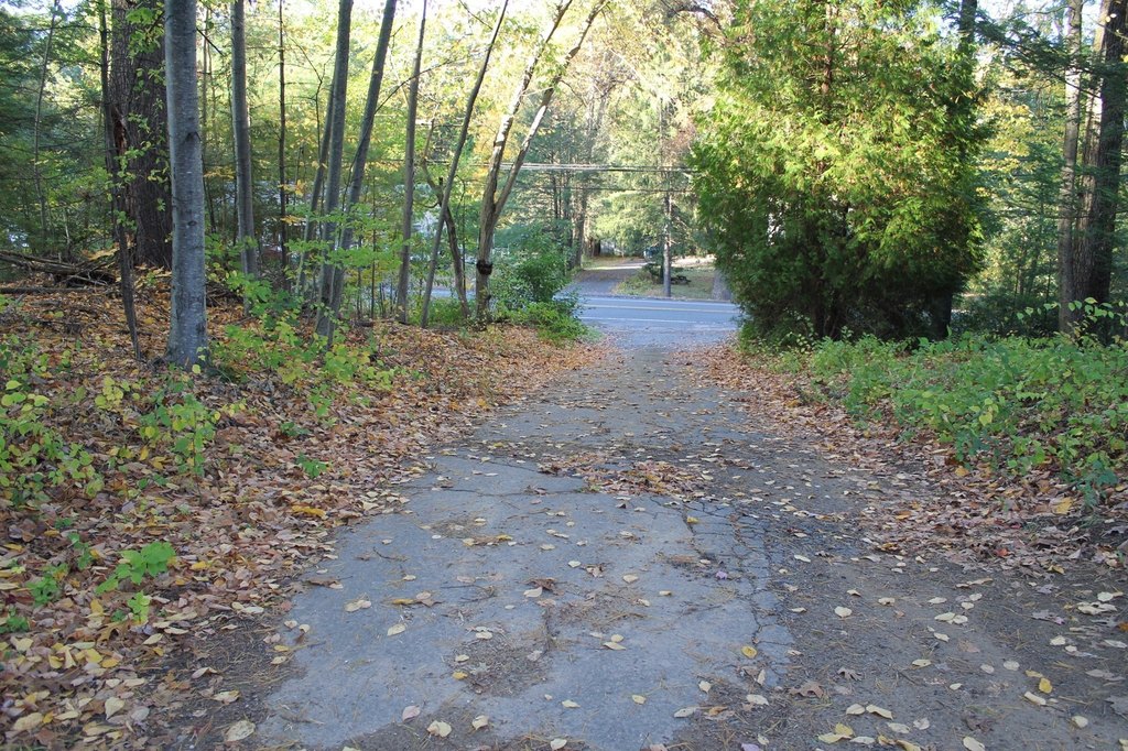 Picture 3