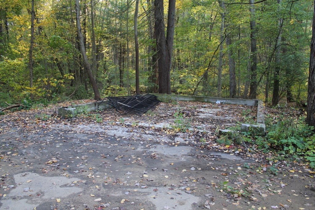 Picture 5