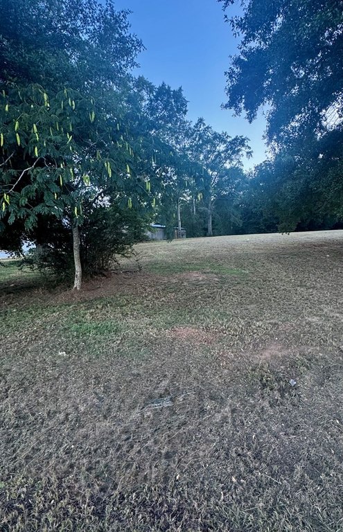 Picture 3
