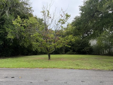Land, Mount Pleasant, SC