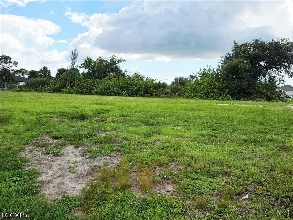 Picture 2