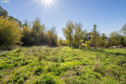 Amity, Oregon Acreage for Sale