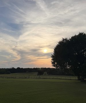 15 Acres of Country Land