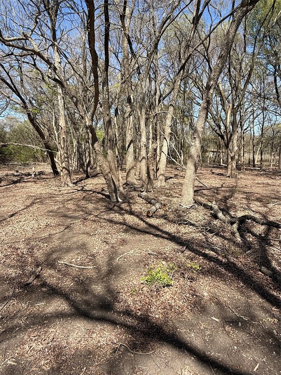 Picture 5